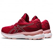 Кросівки для бігу жіночі Asics GEL-NIMBUS 24 Cranberry/Frosted Rose